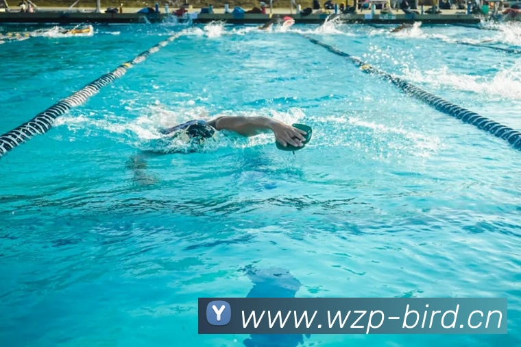 米兰app官方正版官网APP 封面图